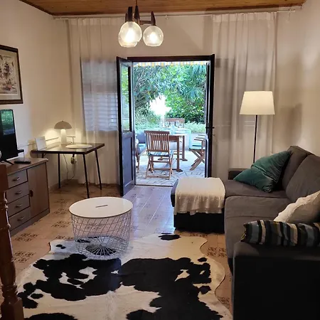 With Terrace Overlooking The Krk Town